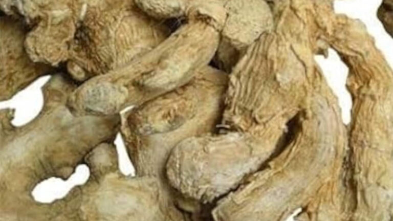 FE1A3B06-0D4B-417F-BE97-524F833E36CA