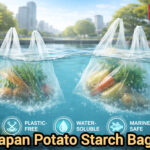 InShot_20260216_074307114