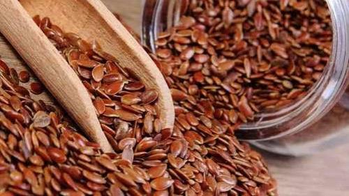 WhatsApp Image 2026-02-02 at 8.52.42 PM