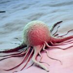 WhatsApp Image 2026-02-02 at 8.52.52 PM