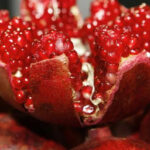 2FD43728-A7AE-4C91-BA95-DCE68AECC97E