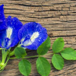 4068C12C-C4A2-4D3B-BA59-9412C67CAEEA