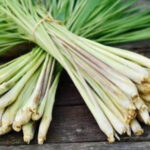 65F3458F-F363-436A-B562-4F9A93B76364