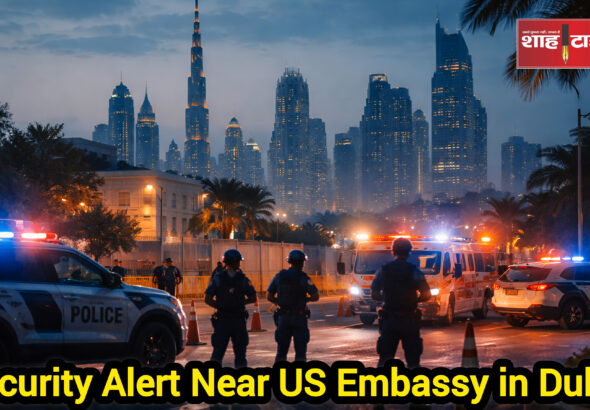 InShot_20260304_113747886