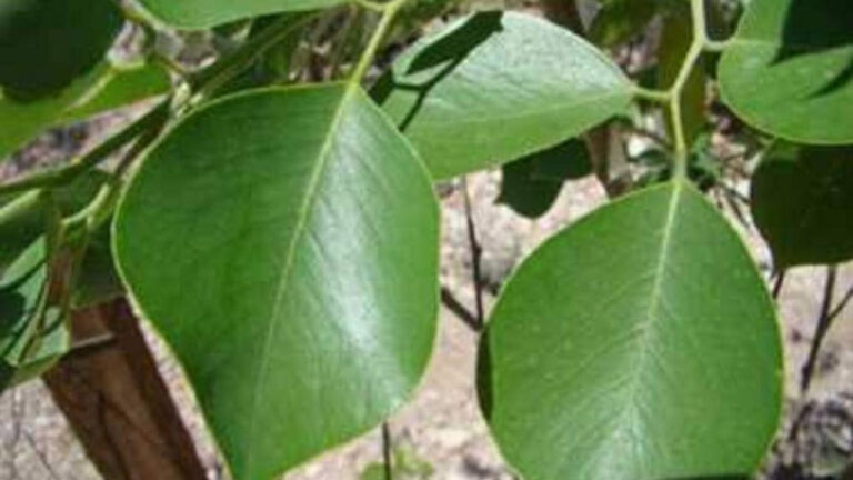 DF5788F6-C44A-4084-8C3C-6936C4DB7AB6