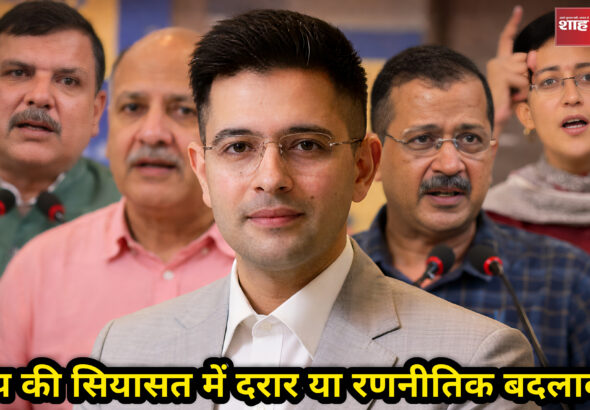 AAP leadership conflict raises questions on internal democracy | Shah Times