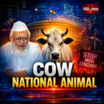 Shah Times graphic showing debate over cow as national animal and mob lynching politics in India.