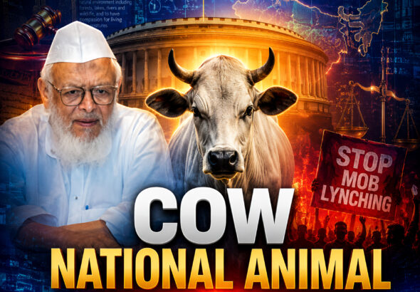 Shah Times graphic showing debate over cow as national animal and mob lynching politics in India.